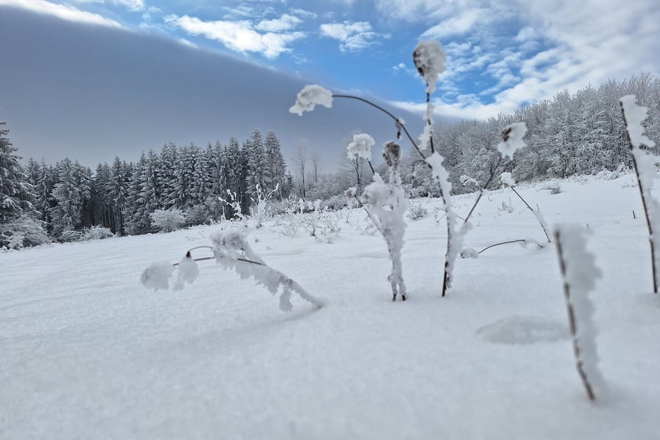 Ein Winter Wonderland - jedoch kein aktuelles! Das Bild wurde Anfang Dezember 2023 in der thüringischen Rhön aufgenommen. (Archivbild)