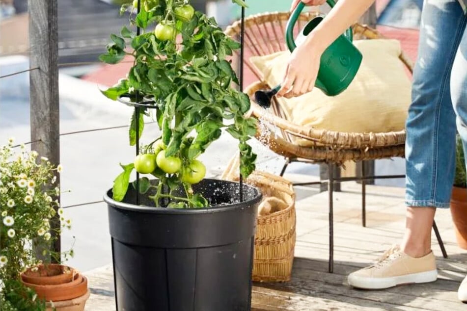 Lidl hat ab Freitag (21.3.) tolle Angebote für den Garten und Balkon