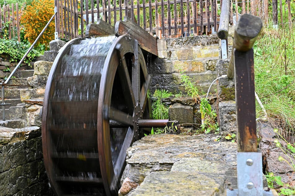Beim Deutschen Mühlentag können Besucher die historische Technik der Zschoner Mühle entdecken.