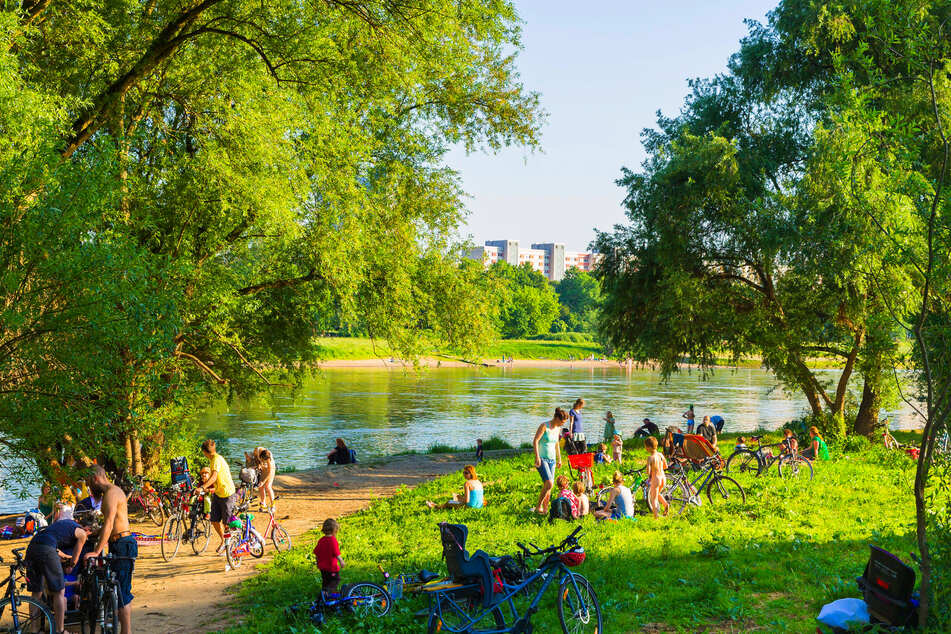 Die Prießnitzmündung gilt als beliebter Erholungsort, vor allem im Sommer. (Archivfoto)