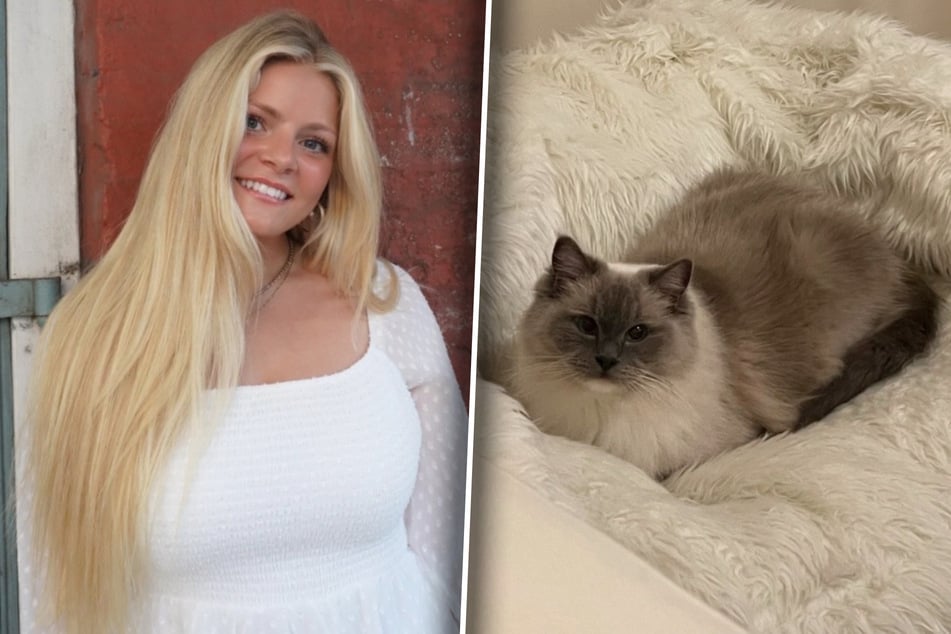 Caroline war überglücklich, ihre erste eigene Katze, Ragdoll Toulouse, bei sich aufnehmen zu können.