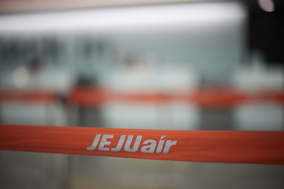 The Jeju Air plane crash is thought to have been at least partly caused by a flock of birds.