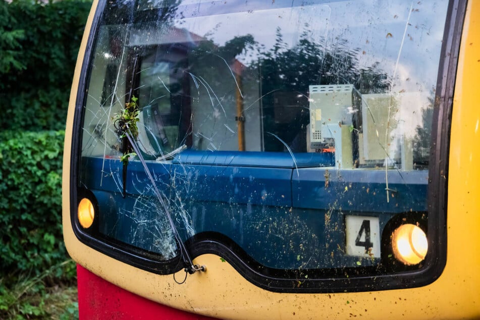 Durch den Zusammenprall mit dem Baum ist die Frontscheibe des S-Bahnzugs gesplittert.