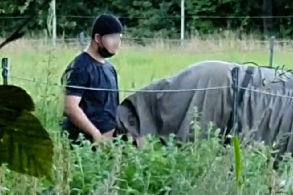 Der 18-Jährige wurde auf frischer Tat ertappt und gefilmt.