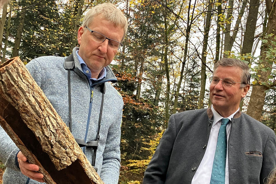 Stefan Meining (l.) und Forstminister Peter Hauk (63, CDU) vom Büro für Umweltüberwachung bei der gemeinsamen Inspektion des heimischen Waldes.