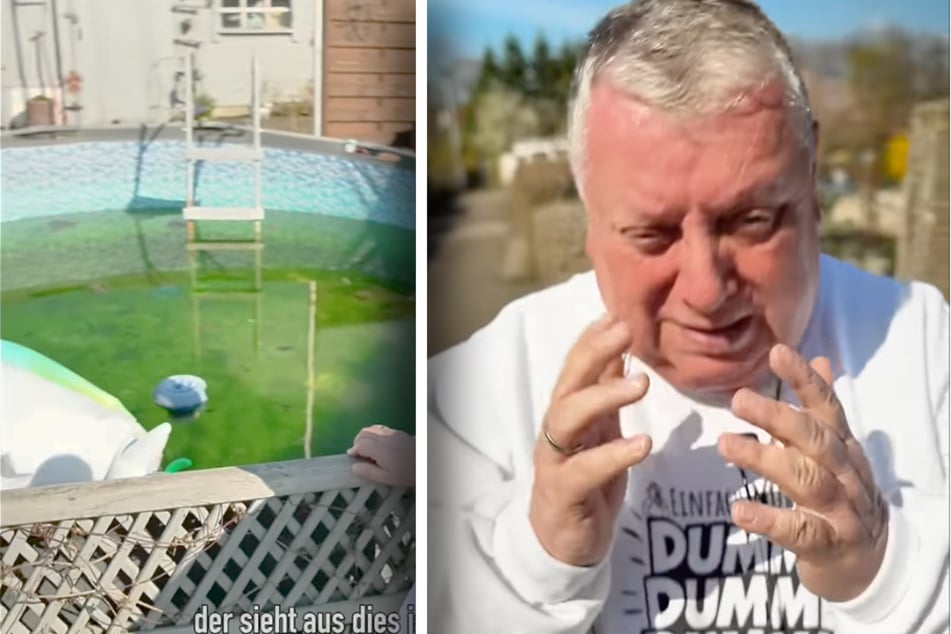 Kleingartensheriff Michael Baumann (62) vermutet Leben in seinem grünen Pool.