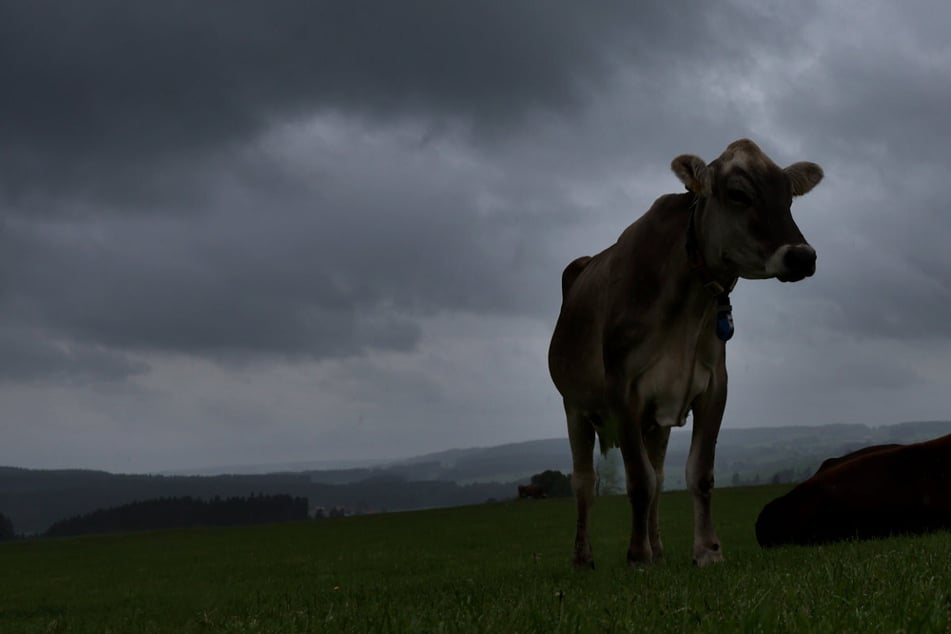 Wetterdienst warnt vor schweren Gewittern im Süden Bayerns