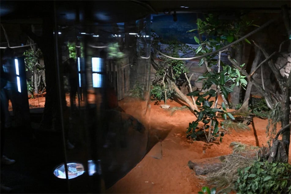 Im Innengehege des Australienhauses Terra Australis in der Wilhelma Stuttgart wurden an unterschiedlichen Tagen Kinder verletzt.