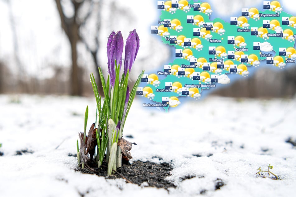 Frühlingsanfang im Schnee? So startet Sachsen in die neue Jahreszeit