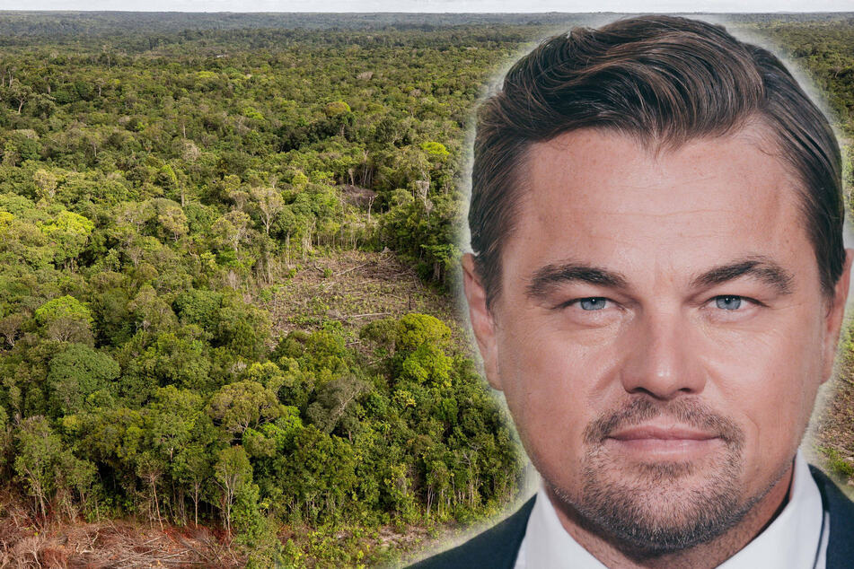 Leonardo DiCaprio has long been an advocate for environmental causes.