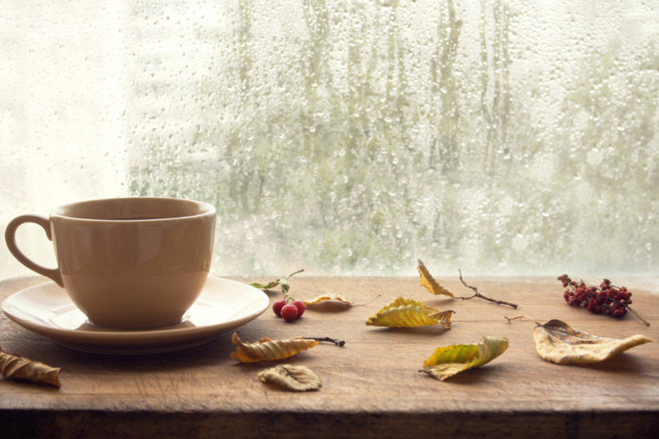 Bei kaltem Herbstwetter gibt es doch nichts Schöneres als sich mit einer Tasse Tee oder heißer Schokolade ins Warme zu kuscheln. (Symbolbild)
