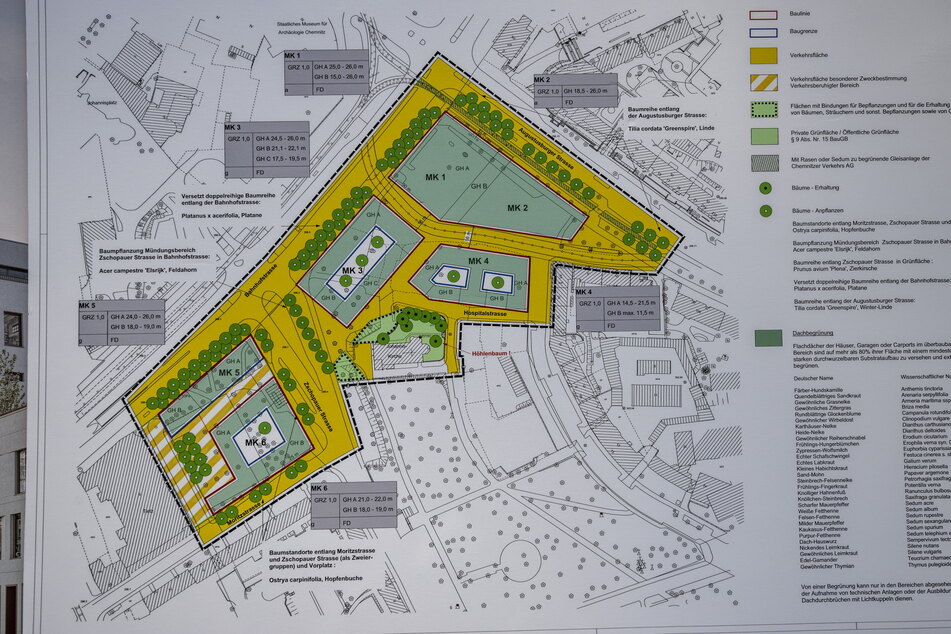 Lageplan zur Baufläche in der Johannisvorstadt: Die Bauflächen MK 1 und 2 werden bereits bebaut. Die anderen vier Flächen sollen in den nächsten Jahren an die Reihe kommen.