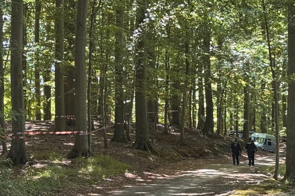 Nach Torso-Fund in Plastikfolie: Polizei sucht mit Leichenspürhunden Waldstück ab
