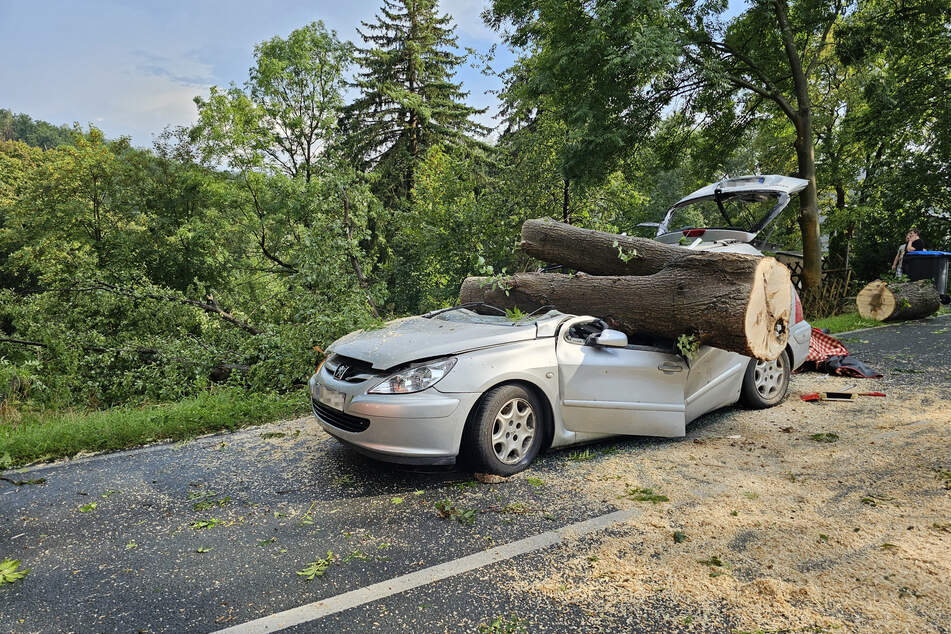 Baum stürzt bei Unwetter auf Auto: Fahrerin schwer verletzt
