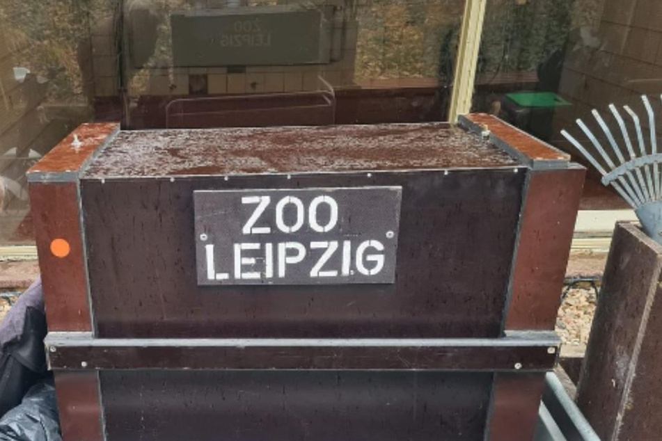Eine Kiste macht sich auf den Weg nach Leipzig. Darin versteckt sind zwei der kleinsten Hirsche der Welt.