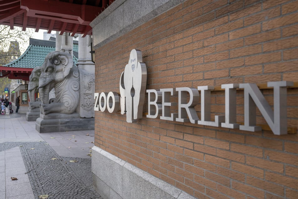 Nach einer Laborbestätigung der Geflügelpest wurde der Zoo am 18. November geräumt.