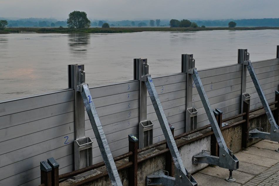 Eine mobile Flutschutzwand wurde in Brandenburg (Frankfurt/Oder) hochgezogen.