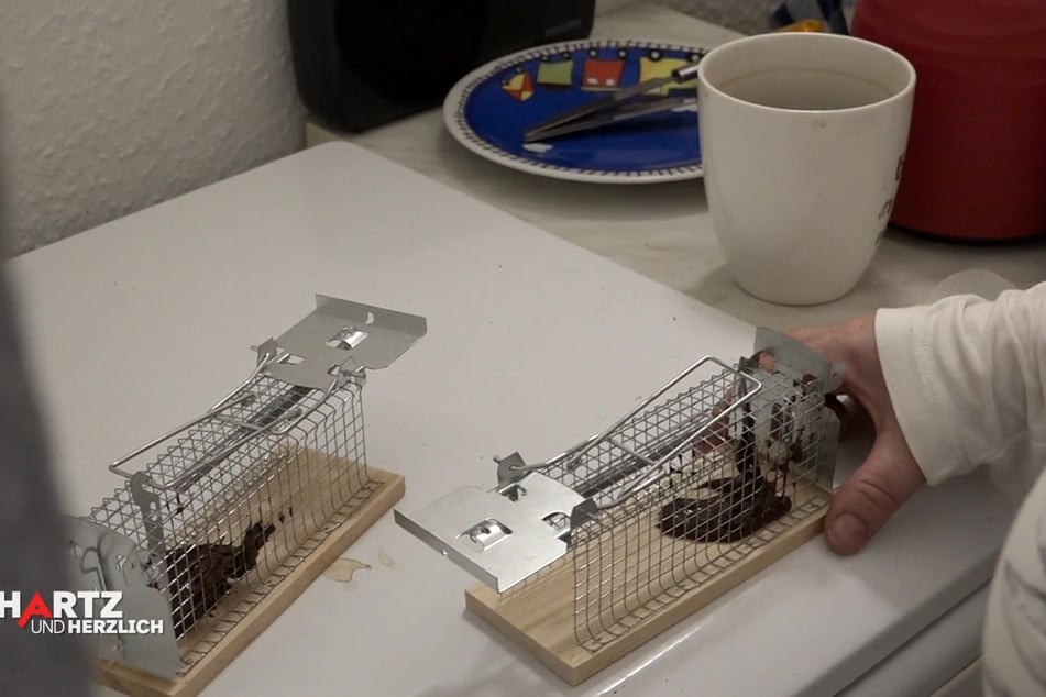 Zwei Mausefallen mit einer Nuss-Nugat-Creme hat Pamela vorbereitet.