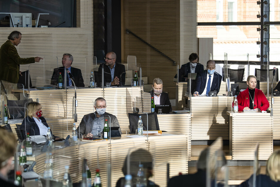 AfD-Abgeordnete sitzen im Schleswig-Holsteinischen Landtag.