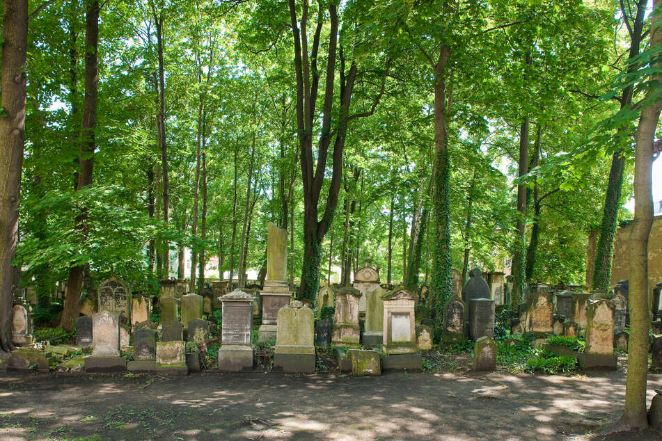 Bleibt der Öffentlichkeit verborgen: Der geheimnisvolle Alte Jüdische Friedhof liegt in der Neustadt.