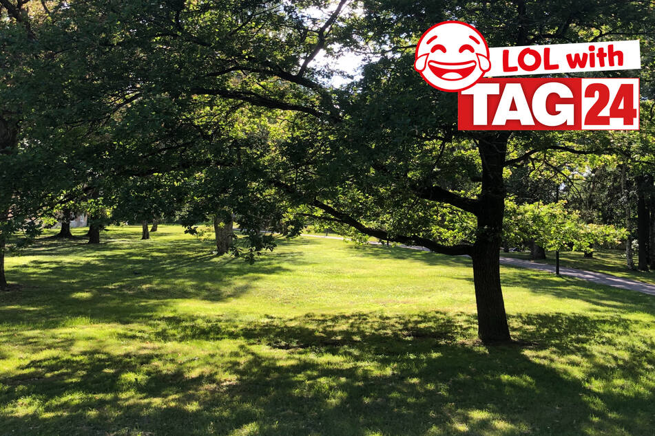 Today's Joke of the Day features some shady trees.