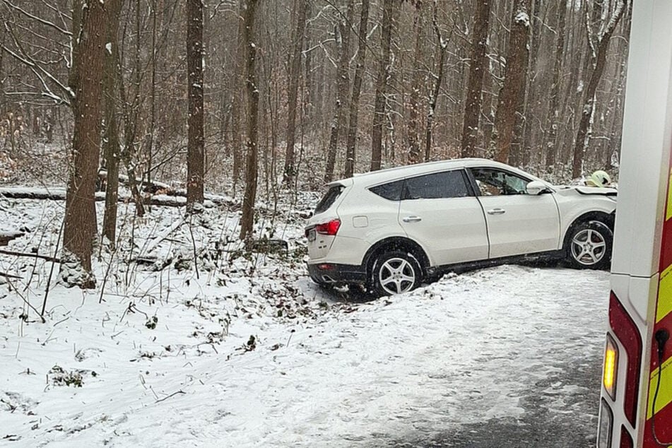 Auto knallt gegen Baum und schleudert in Graben: Fahrer schwer verletzt - Zeugen gesucht