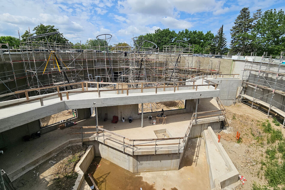Die Bauarbeiten am neuen Orang-Utan-Haus sind nun auch in den Obergeschossen in vollem Gange.