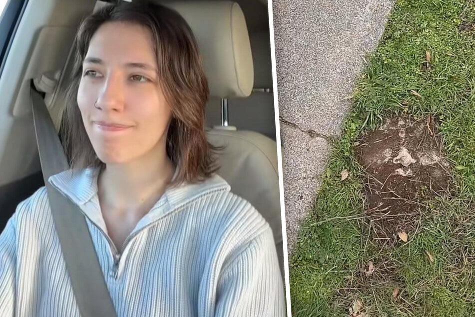 Frau entdeckt ungewöhnlichen Stein im Garten - Was dahintersteckt, lässt staunen