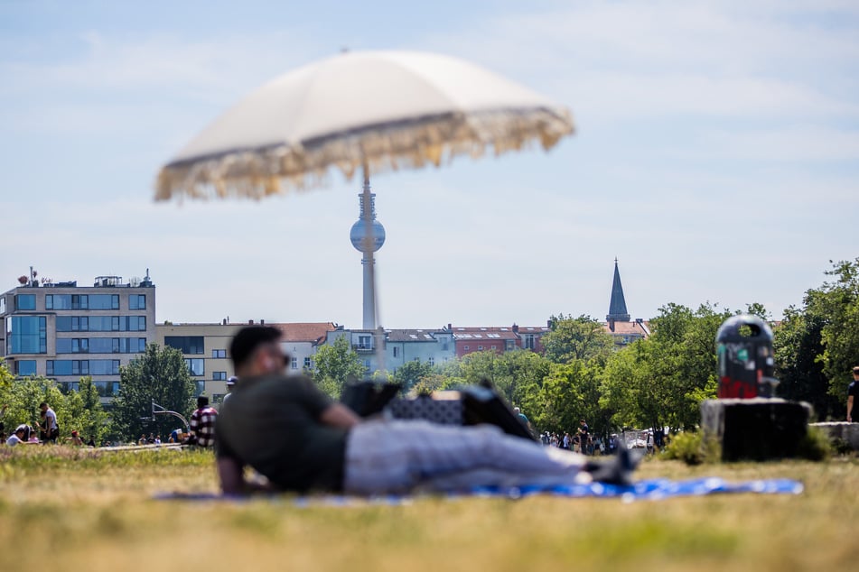 Bürger sollen sich in Berlin-Pankow im Mauerpark erholen und sportlich betätigen können.