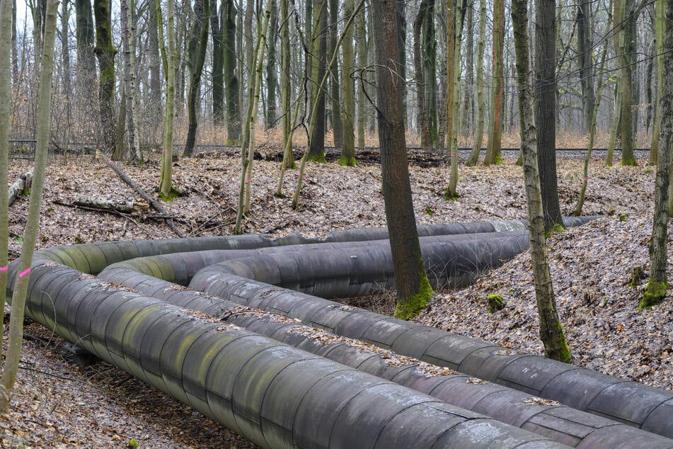 Die oberirdische Fernwärmetrasse, die bereits stillgelegt wurde, soll zurückgebaut werden.