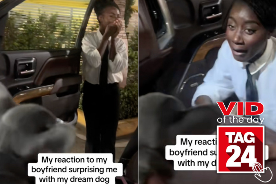 Today's Viral Video of the Day features a girl on TikTok who was gifted her dream dog by her sweet boyfriend after a hard day at work.