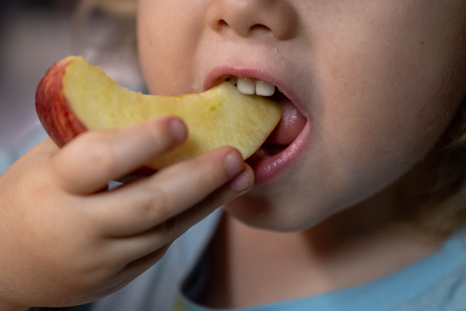 Dann lieber mal ein Stück Apfel essen. (Archivbild)