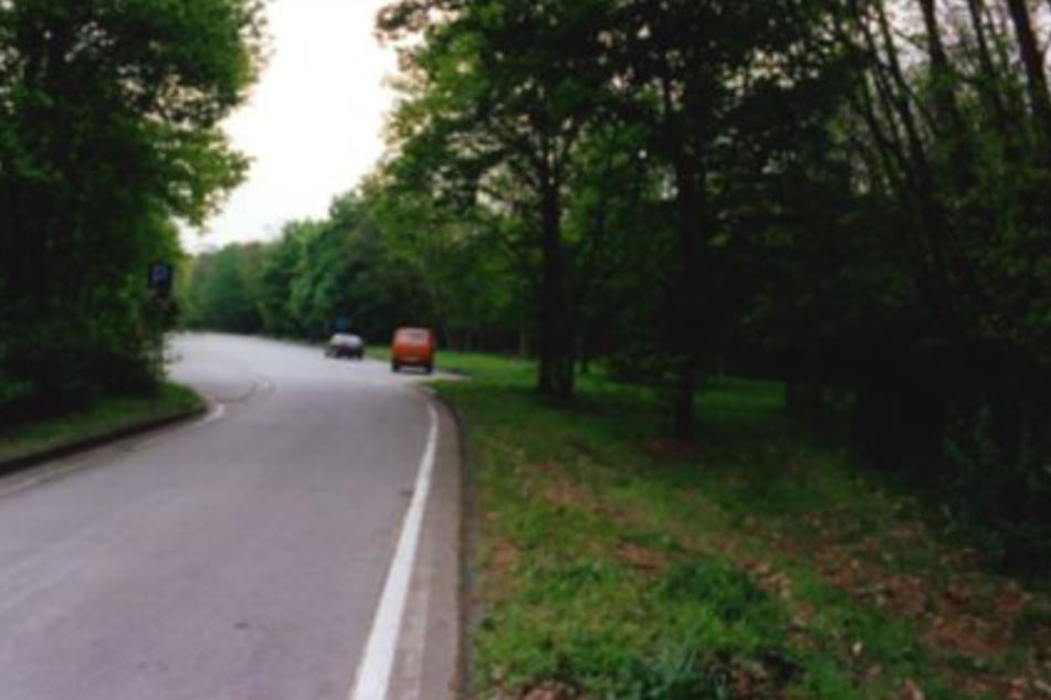 In diesem Waldstück bei Einhausen hatte der Anrufer die Leiche entdeckt.