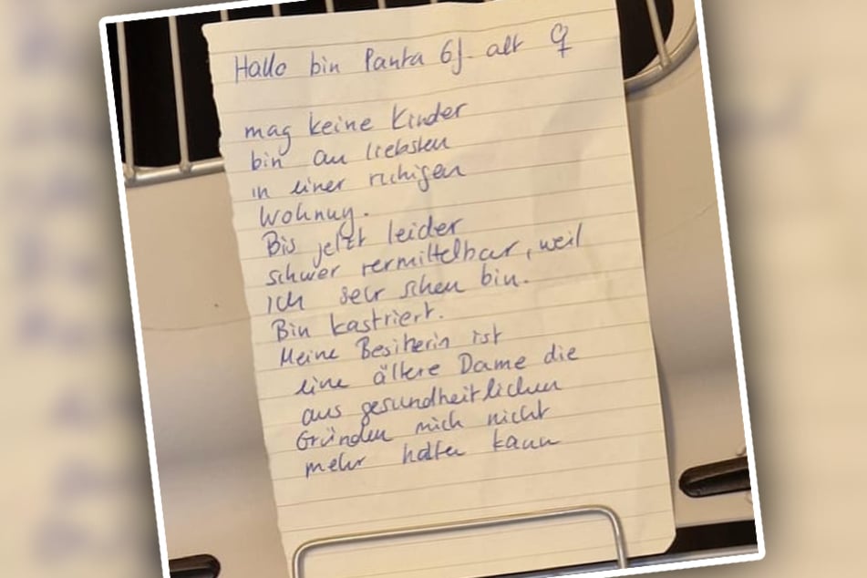 Die ehemalige Besitzerin der Katze hatte auf einem Zettel alle wichtigen Infos über die Vierbeinerin zusammengefasst.