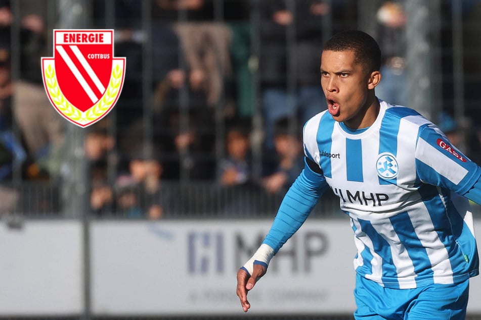Zweiter Neuzugang: Cottbus schlägt erneut in der Regionalliga zu