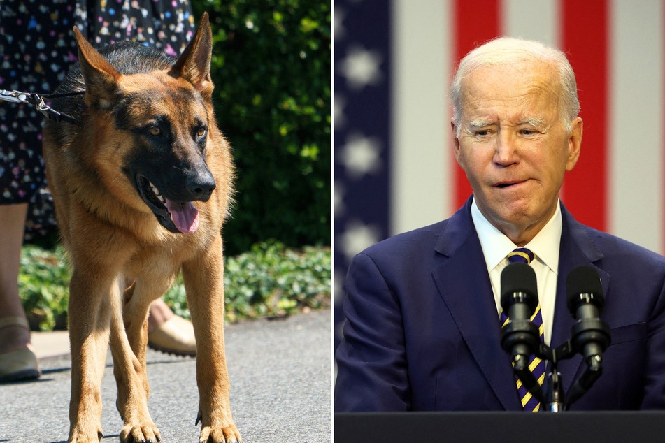 Joe Biden's dog bites a Secret Service agent... again