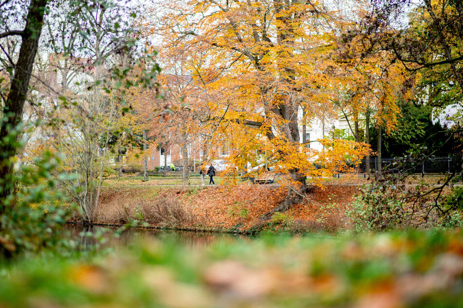 Bevor der Winter in Sachsen-Anhalt so richtig einbricht stehen diese Woche einige ruhige Herbsttage an.