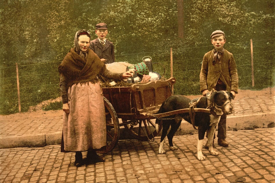 Until only about 100 years ago, dogs were either for work or for the rich.