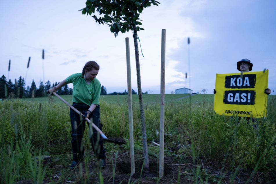 Greenpeace-Aktivisten pflanzen zum Protest gegen Gasbohrungen Bäume auf dem geplanten Bohrfeld unweit des Ammersees.