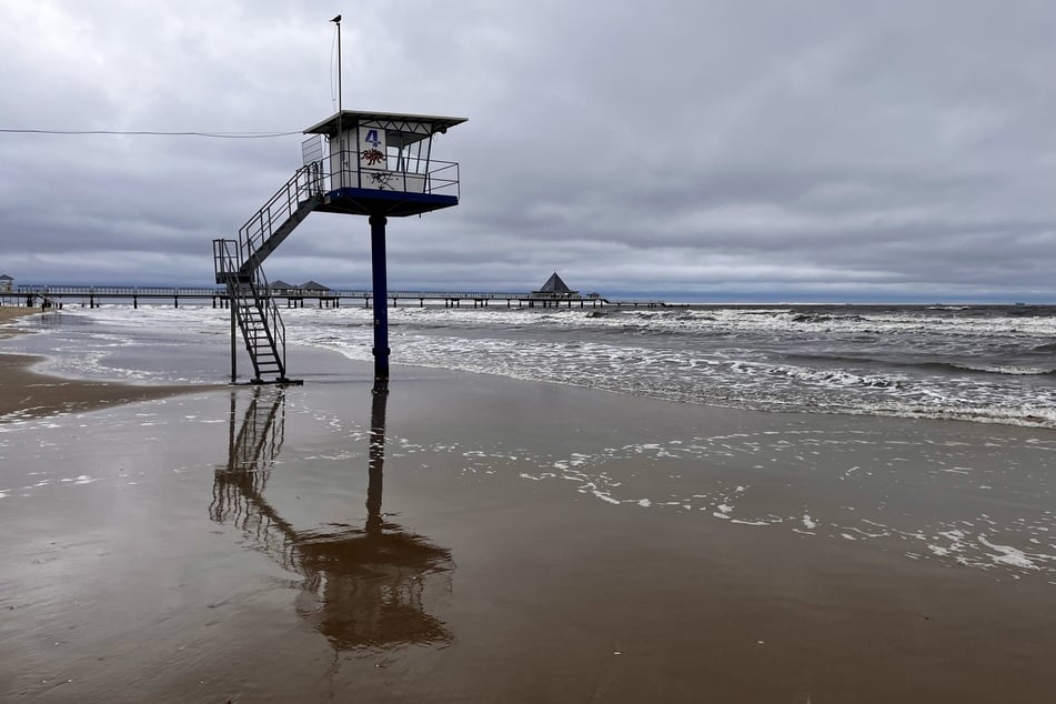 Attacke in einem Waldstück nahe der Ostsee-Bäder Bansin und Ückeritz, auf der Insel Usedom. (Archivfoto)