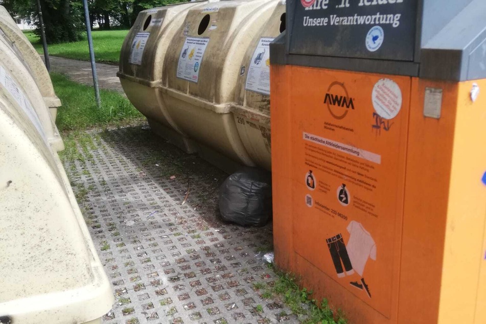 Der Tatort an der Donnersbergerstraße: Vor dem Altglascontainer wurde das Katzenbaby "entsorgt".