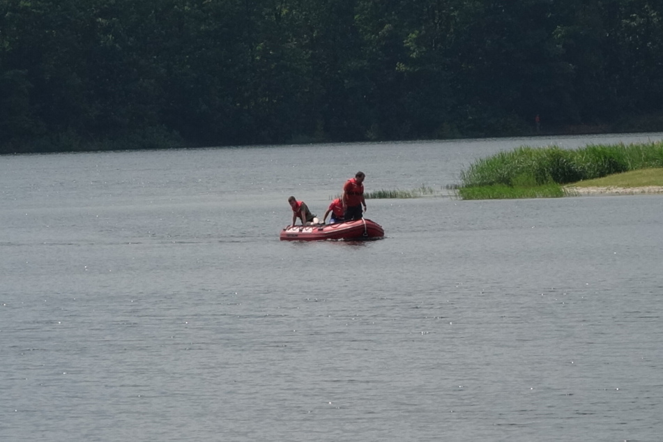 Meter für Meter wurde der Moritzsee abgesucht.