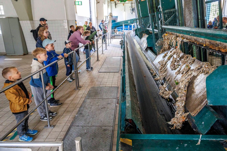 Große Augen auf noch größere Brocken: Der Feinrechen fischt alles raus.