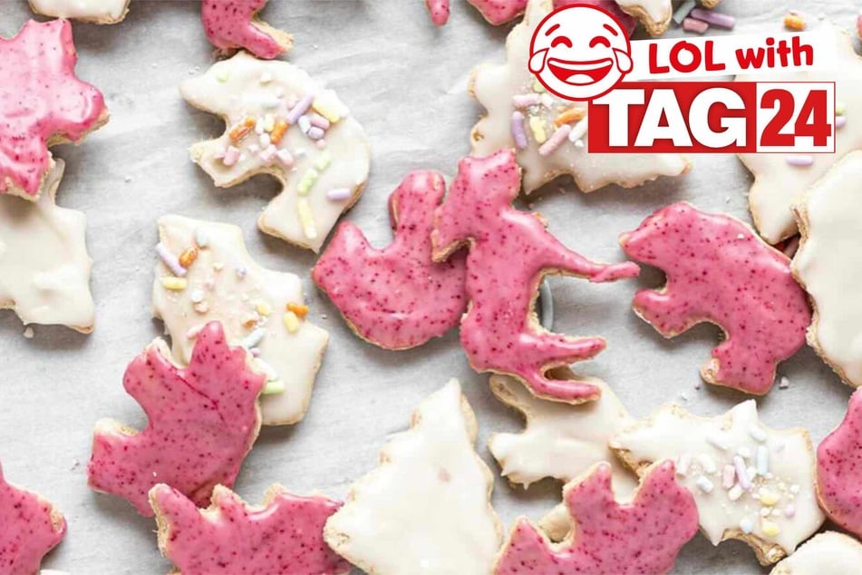 Joke of the Day for February 18, 2026: An animal silly to make you smile