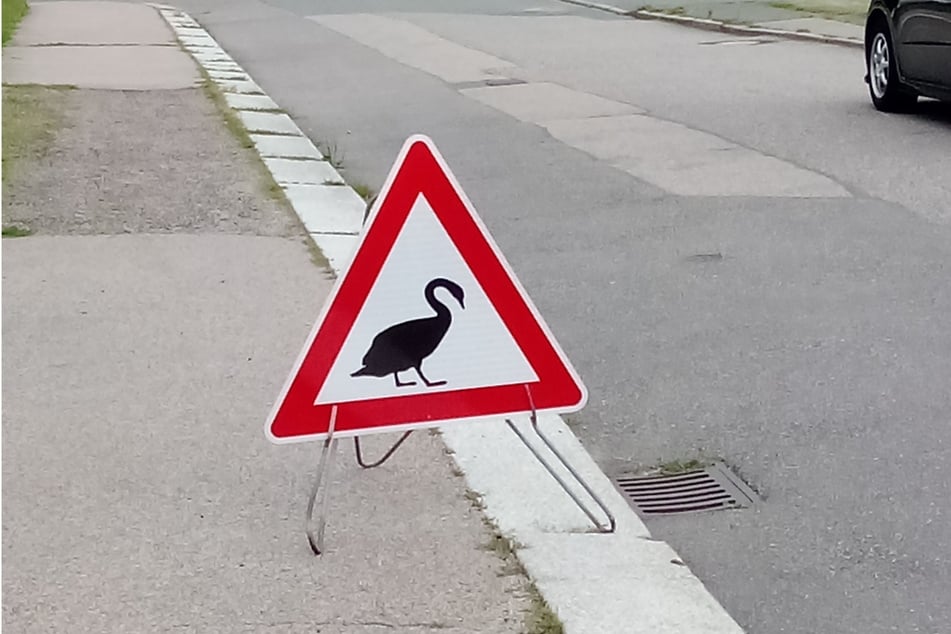 Dieses Warnschild stellte Anwohner Gerald Zimmer wegen der Schwäne im Knaumühlenweg auf.