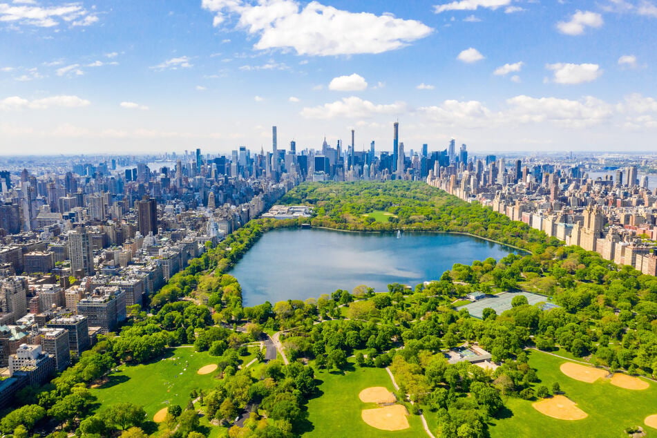 Die Kutscherei inmitten der Grünen Lunge Manhattans bietet Hunderten Menschen und vielen Pferden einen sicheren Arbeitsplatz. Doch jetzt steht das alte Gewerbe vor dem Aus. (Archivbild)