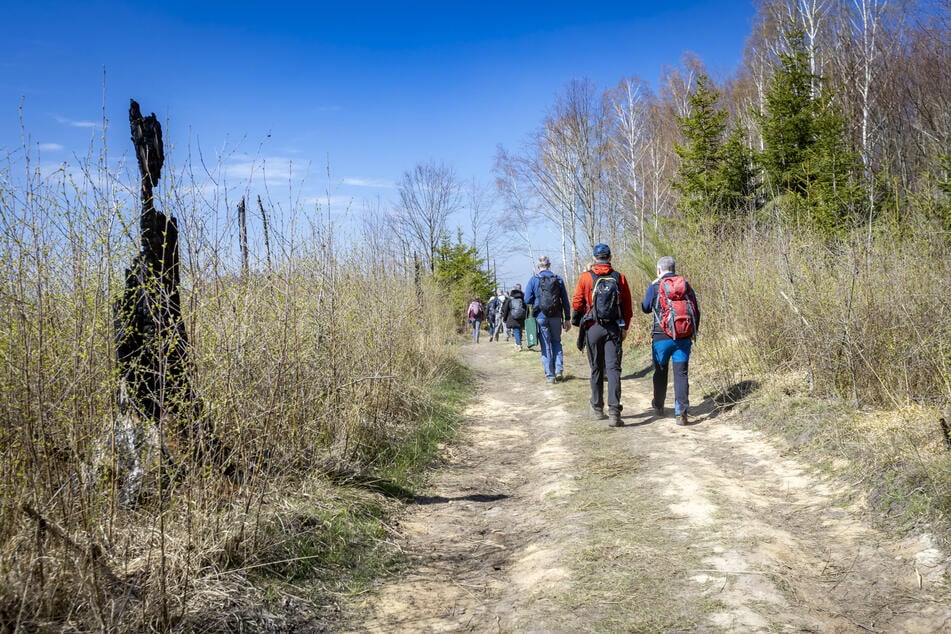 Der Pfad erschließt neue Aussichten.