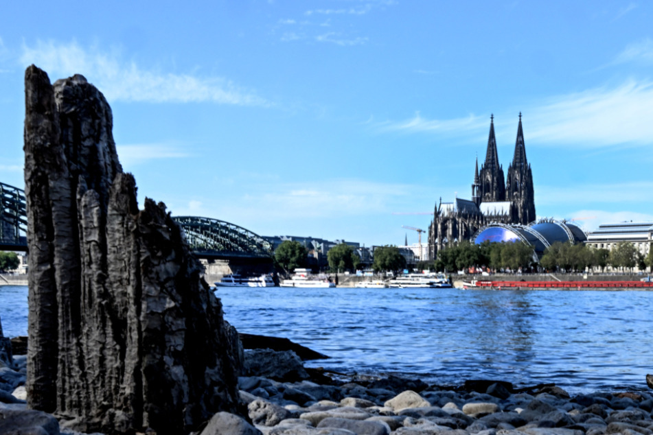 In Köln soll am Wochenende bei sommerlichen Temperaturen meist die Sonne scheinen.