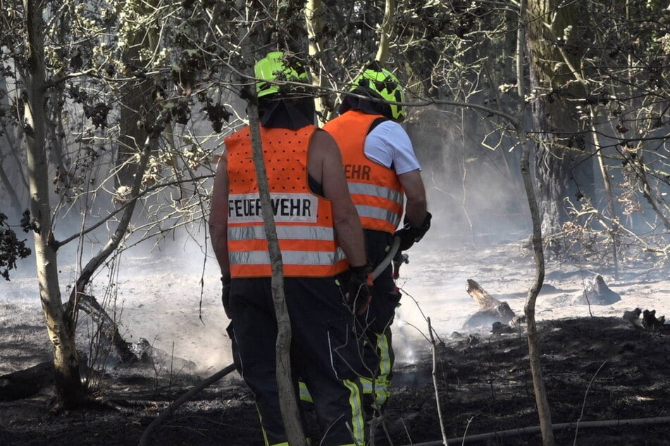 Über 100 Feuerwehrleute waren im Einsatz.