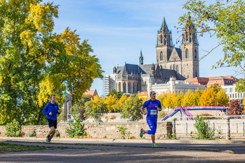 Für die Läufer führt die Strecke unter anderem entlang der Elbe.
